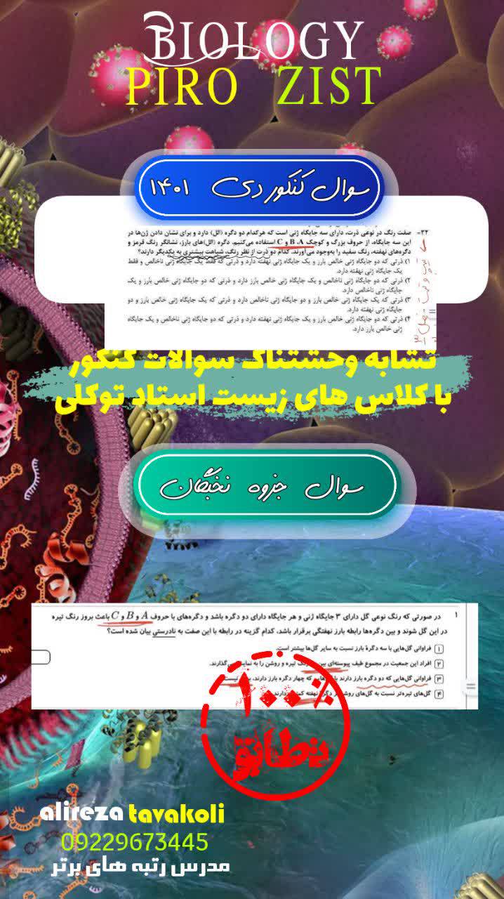 IMG_20241011_220954_473