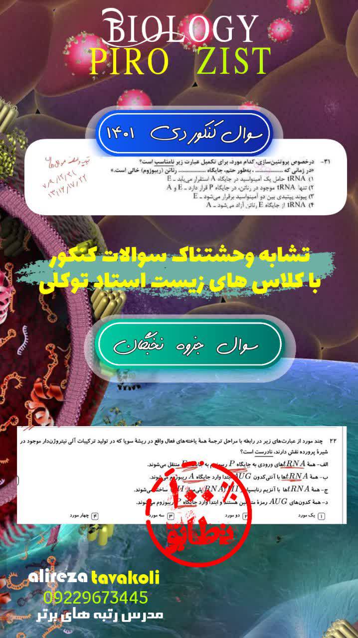 IMG_20241011_220954_804