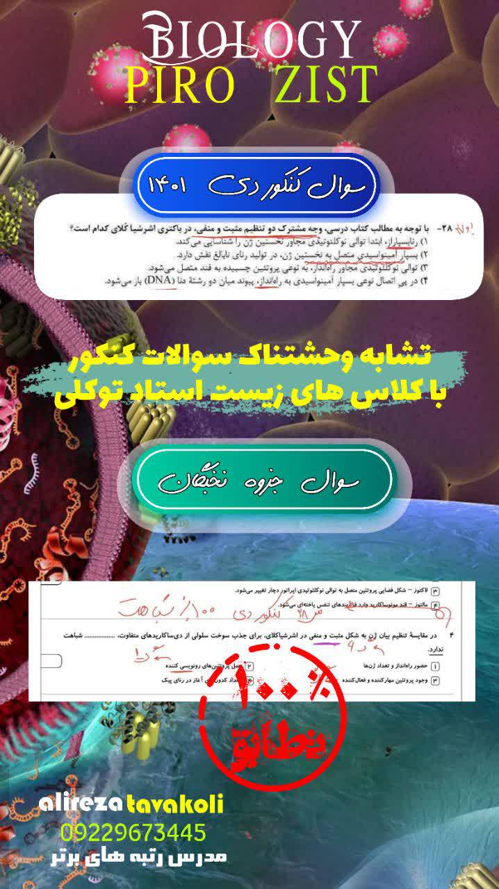 IMG_20241011_220954_982