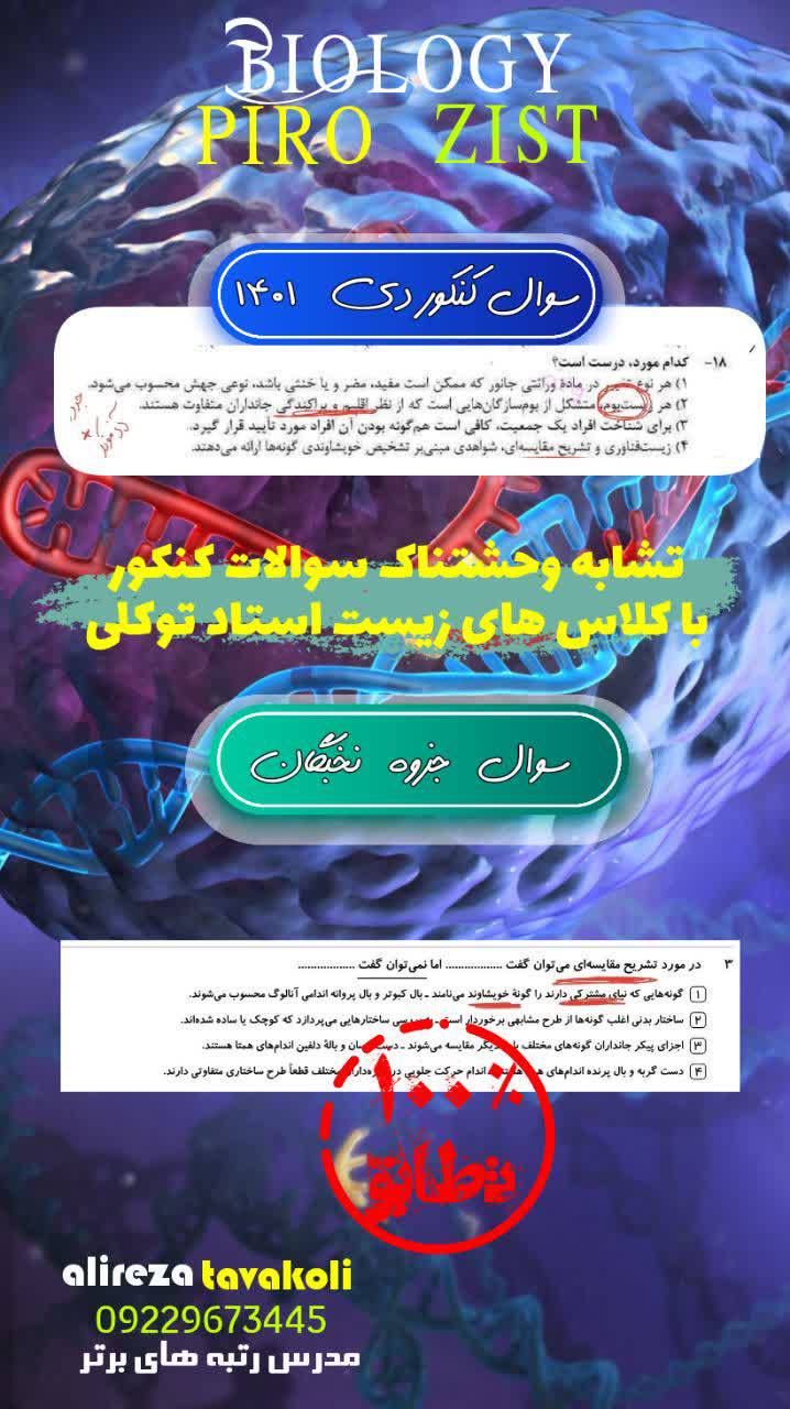 IMG_20241011_220955_067