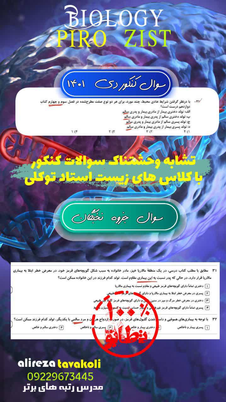 IMG_20241011_220955_175