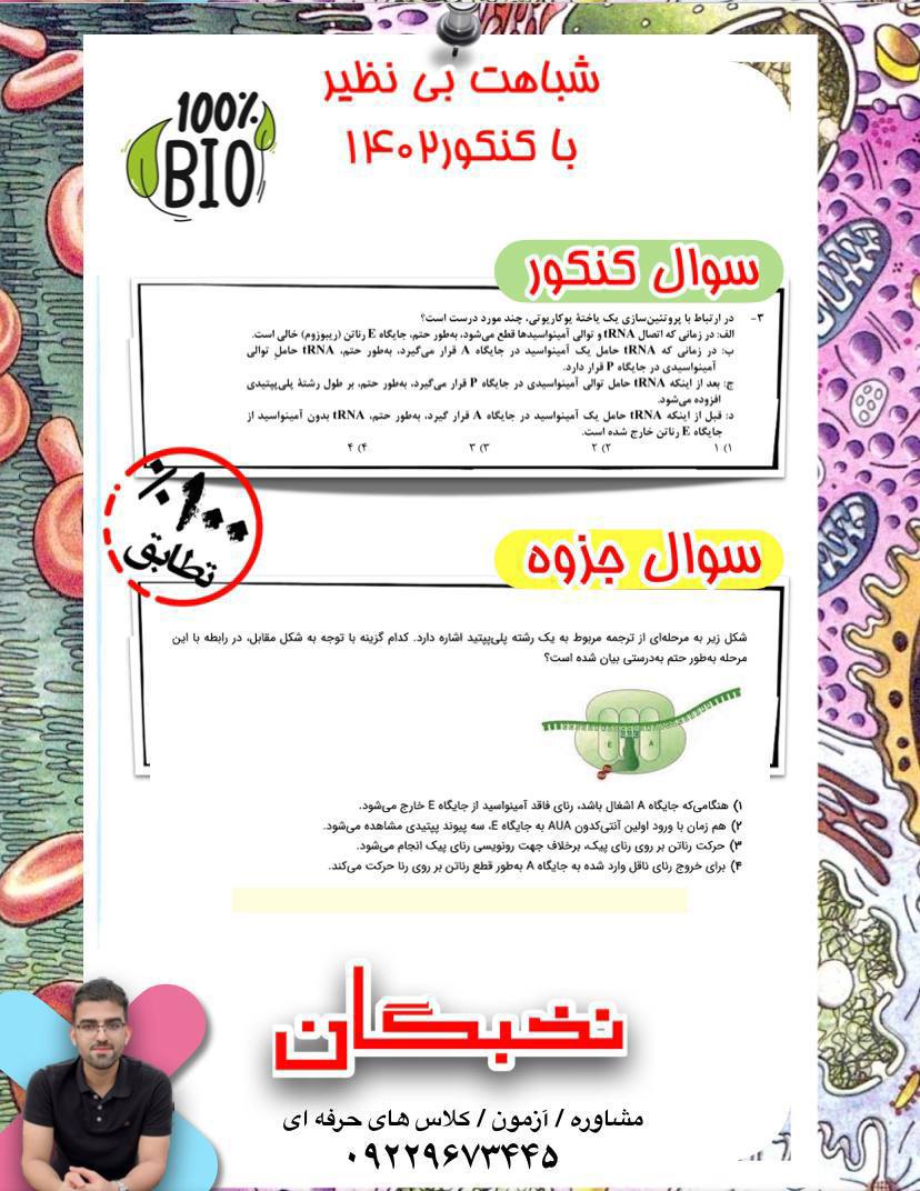 IMG_20241011_222039_678