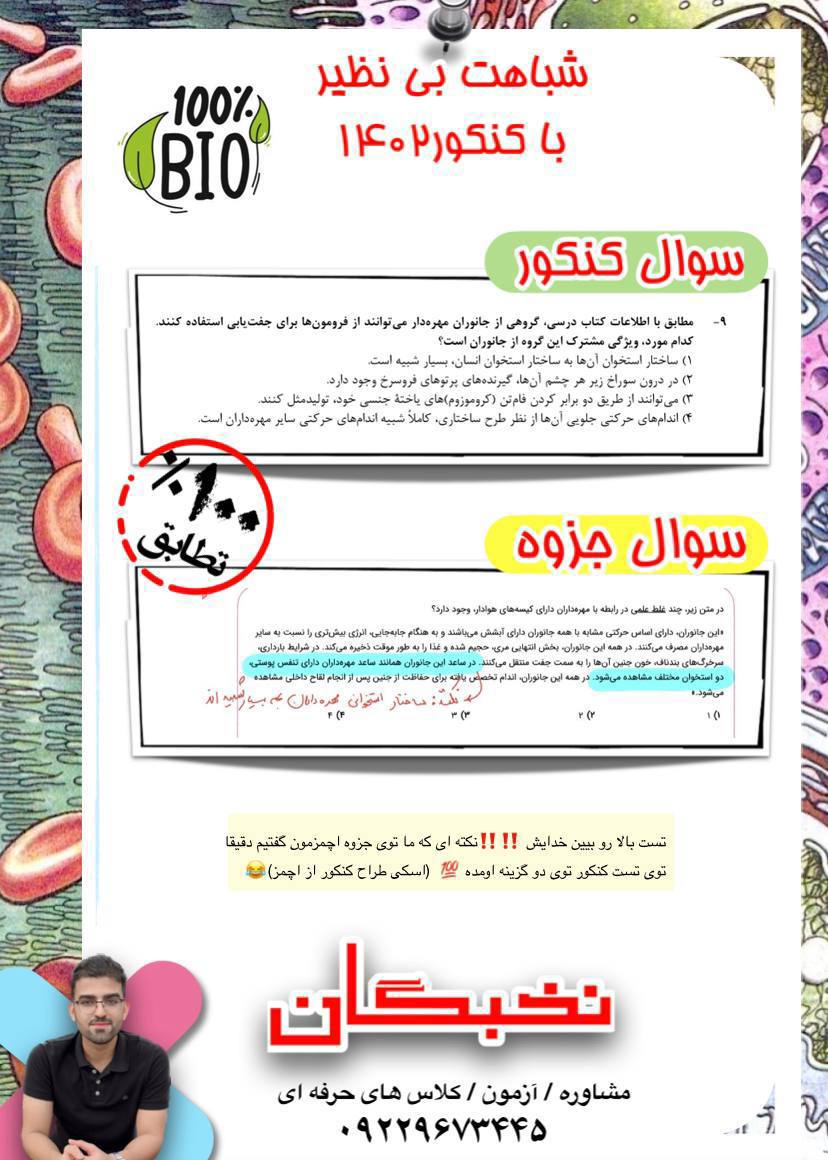 IMG_20241011_222046_478