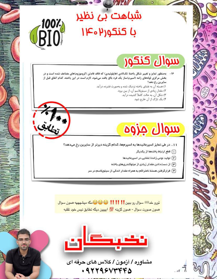 IMG_20241011_222057_284