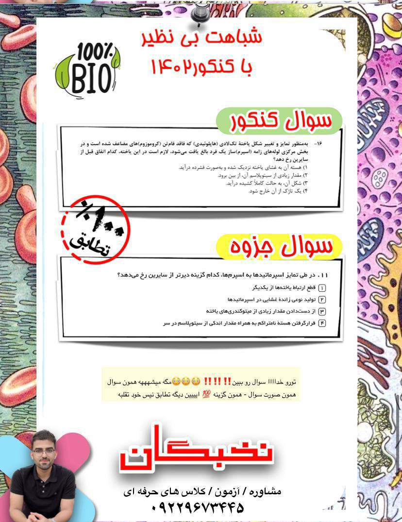 IMG_20241011_222057_535