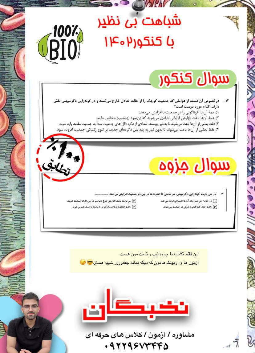 IMG_20241011_222057_996