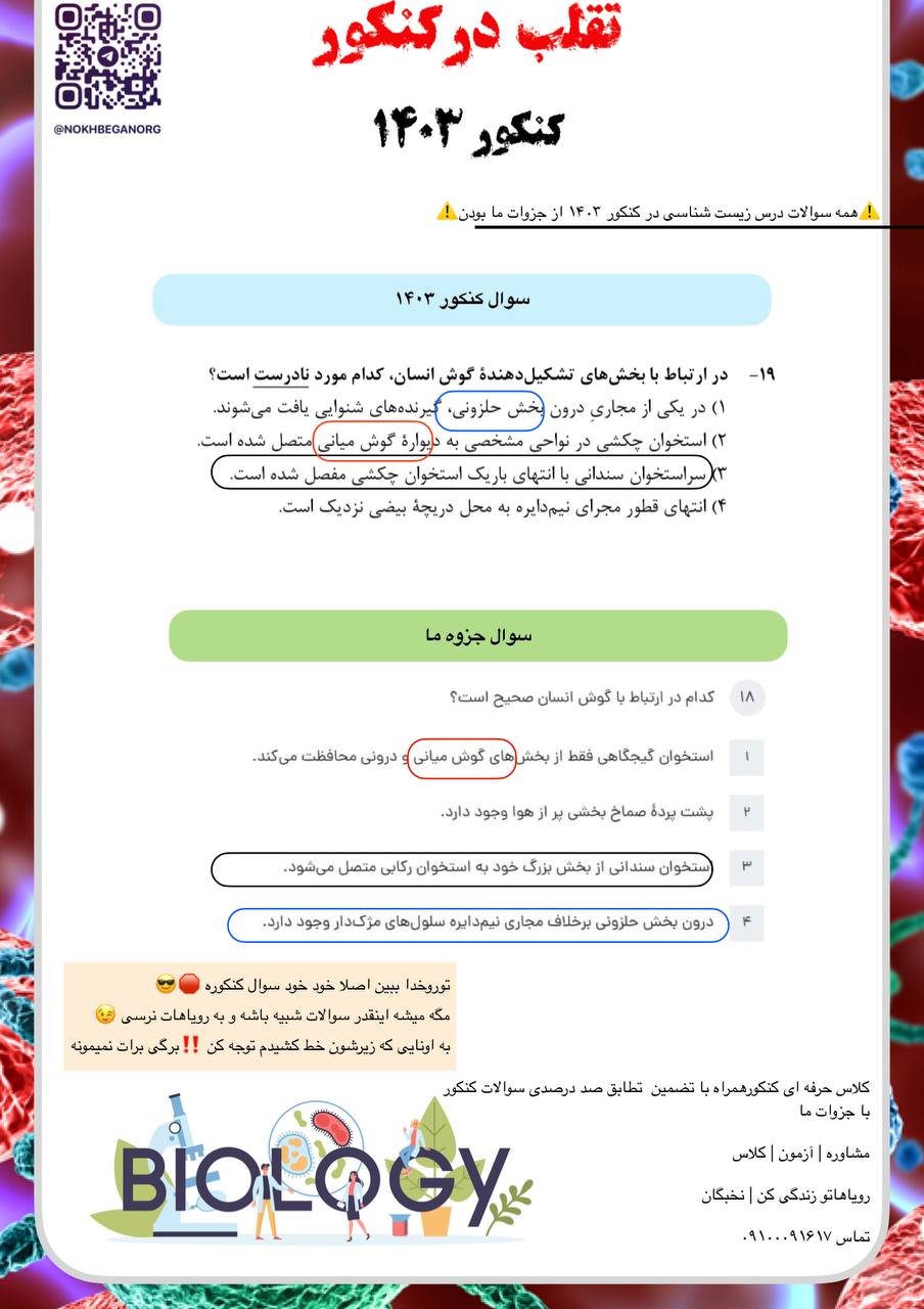 IMG_20241011_222316_558