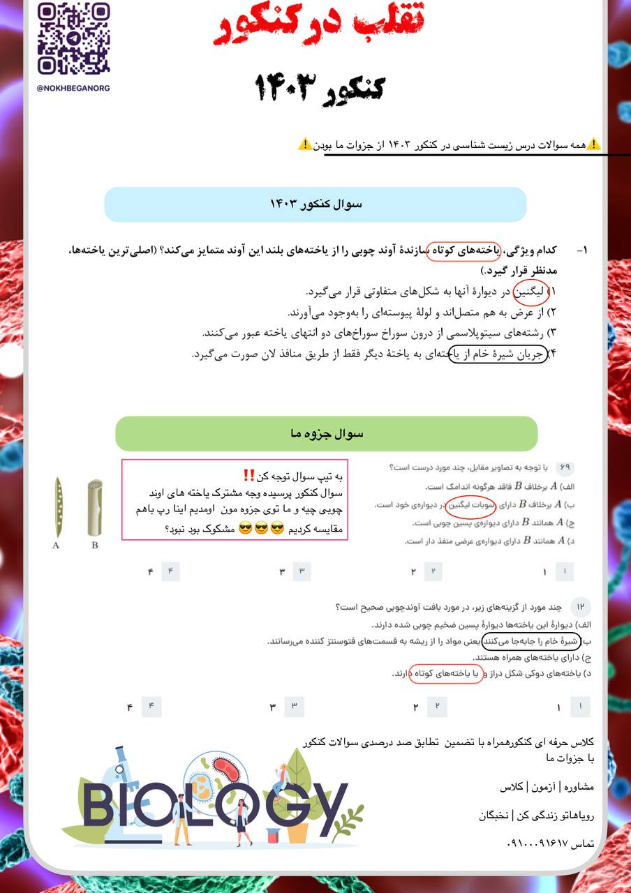 IMG_20241011_222316_575