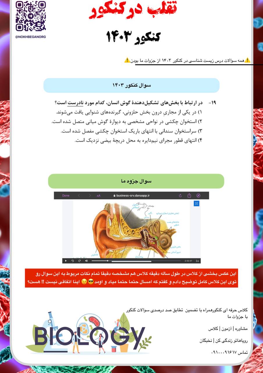 IMG_20241011_222316_836