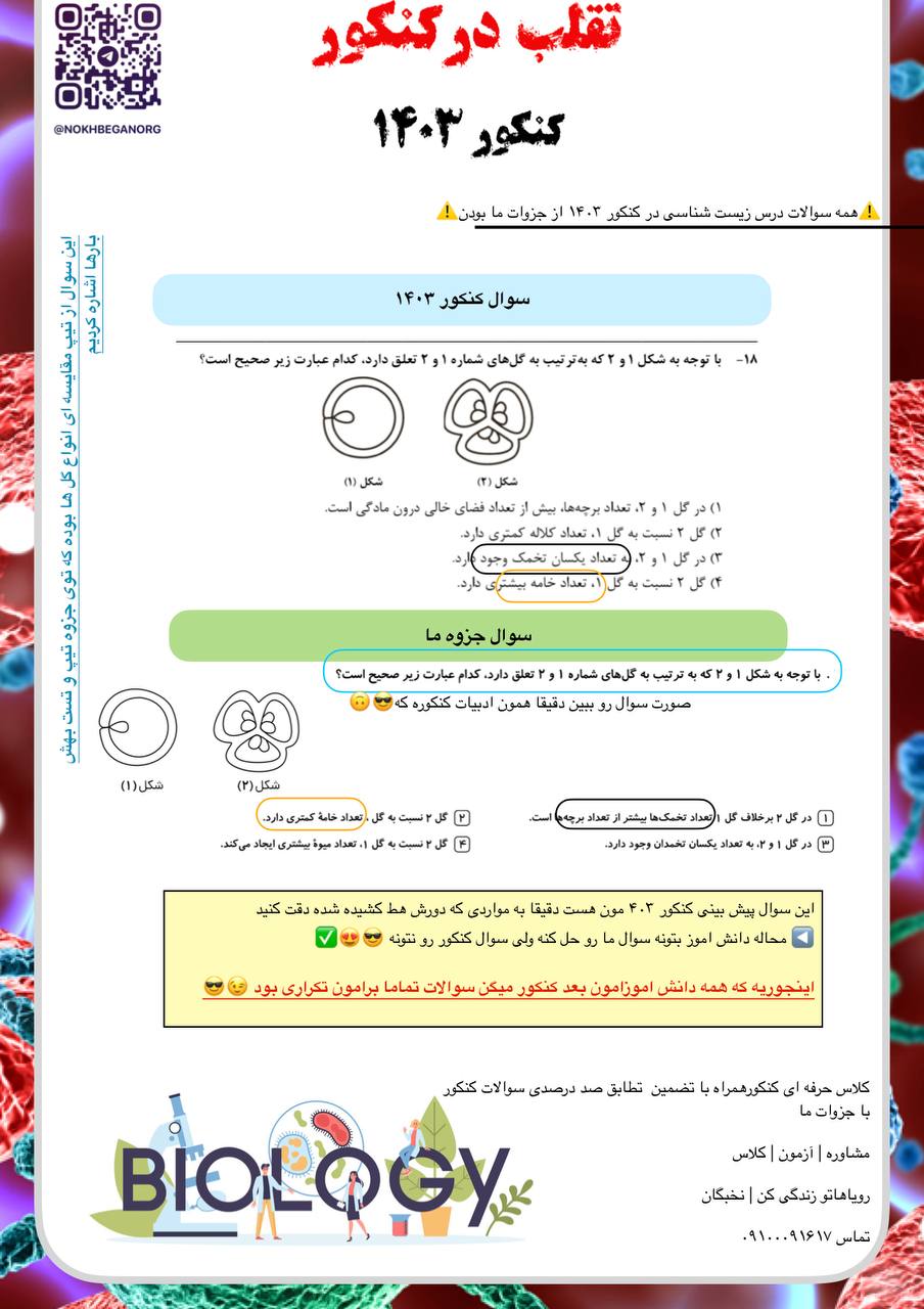 IMG_20241011_222316_954